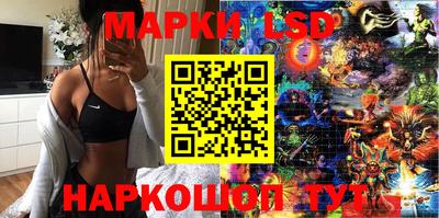 крисы Кулебаки