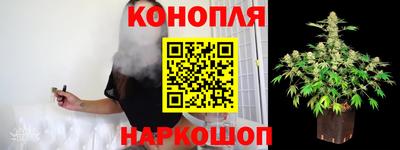 крисы Кулебаки