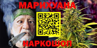 крисы Кулебаки