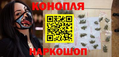 крисы Кулебаки